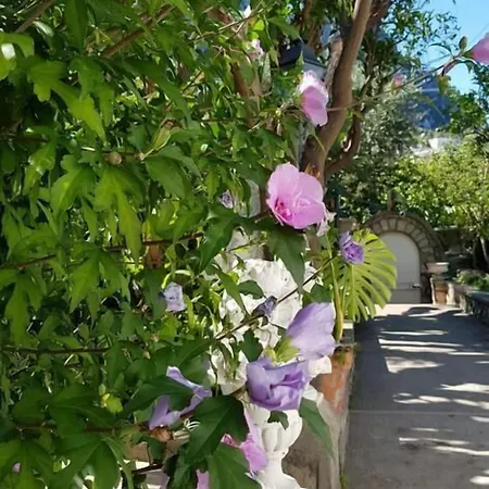 بيت ضيافة Casa Gaia