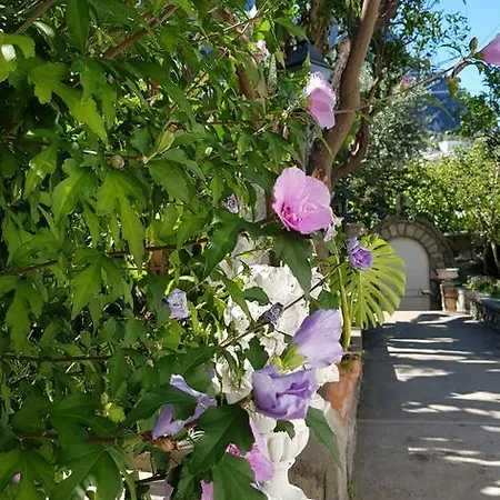 Casa Gaia Capri