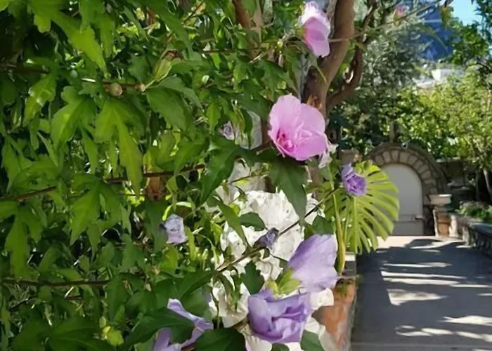 Guest house Casa Gaia